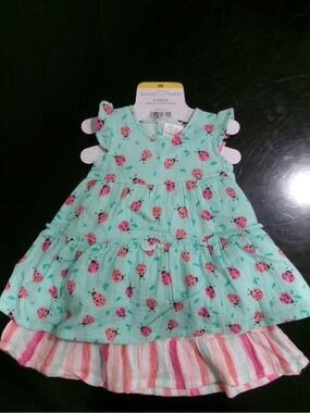 Koala Kids Mint Green and Pink Ladybug Dress Set